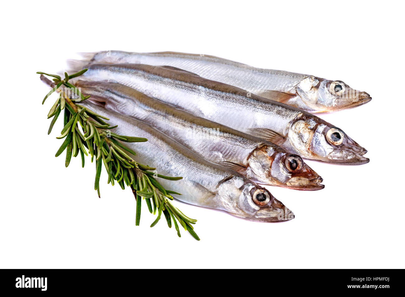 Raw fish capelin and a branch of rosemary isolated on white background. Stock Photo