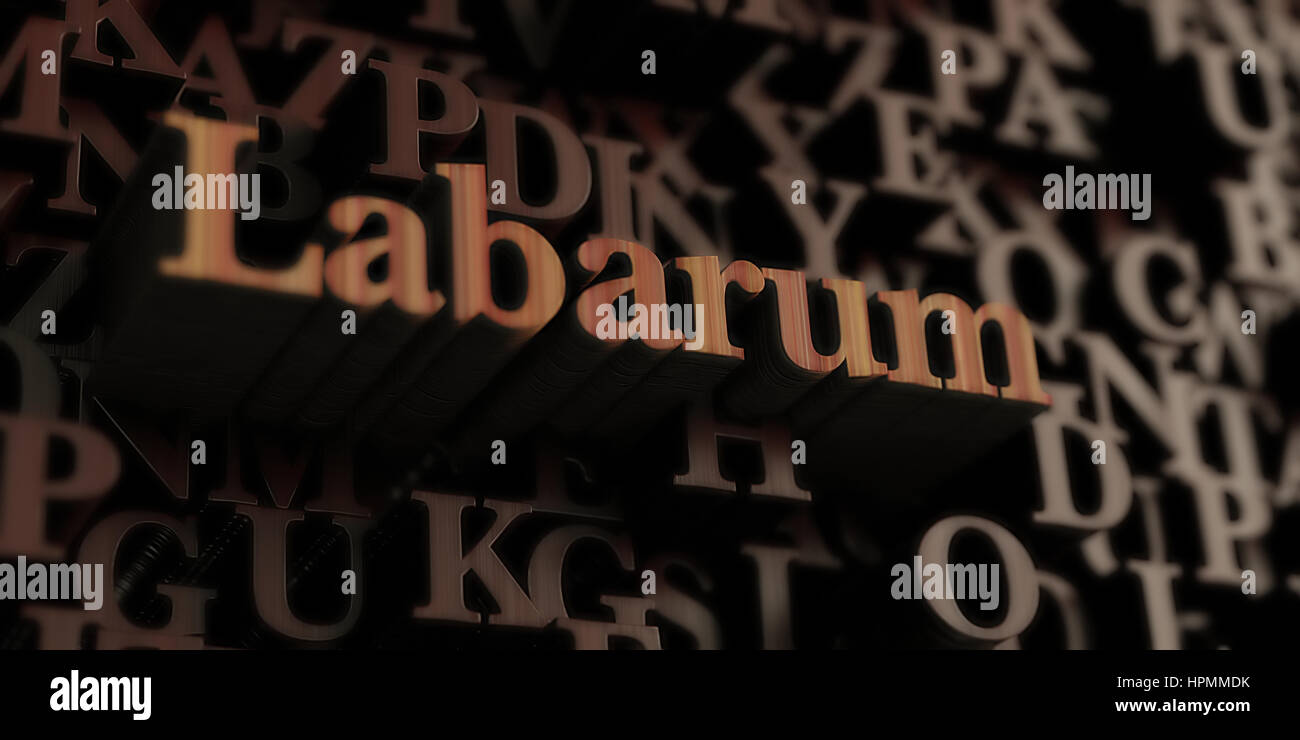 Labarum - Wooden 3D rendered letters/message.  Can be used for an online banner ad or a print postcard. Stock Photo