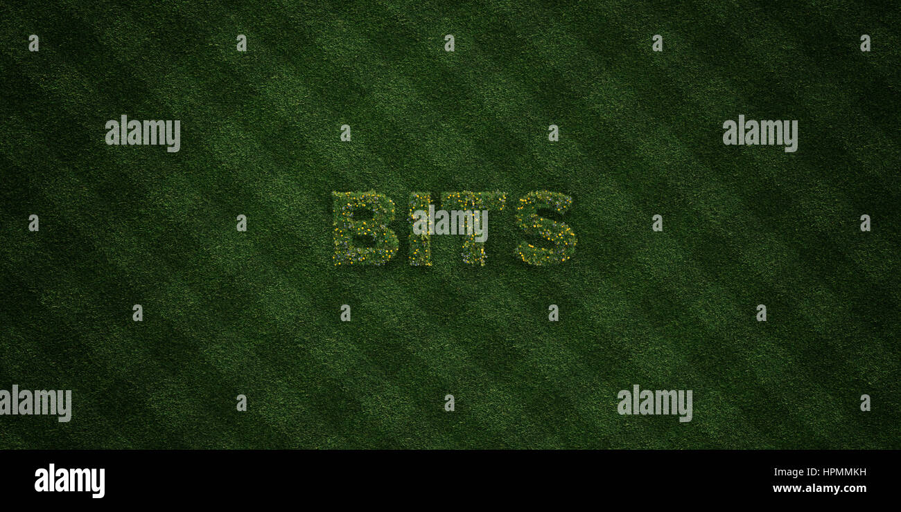 BITS - fresh Grass letters with flowers and dandelions - 3D rendered royalty free stock image. Can be used for online banner ads and direct mailers. Stock Photo