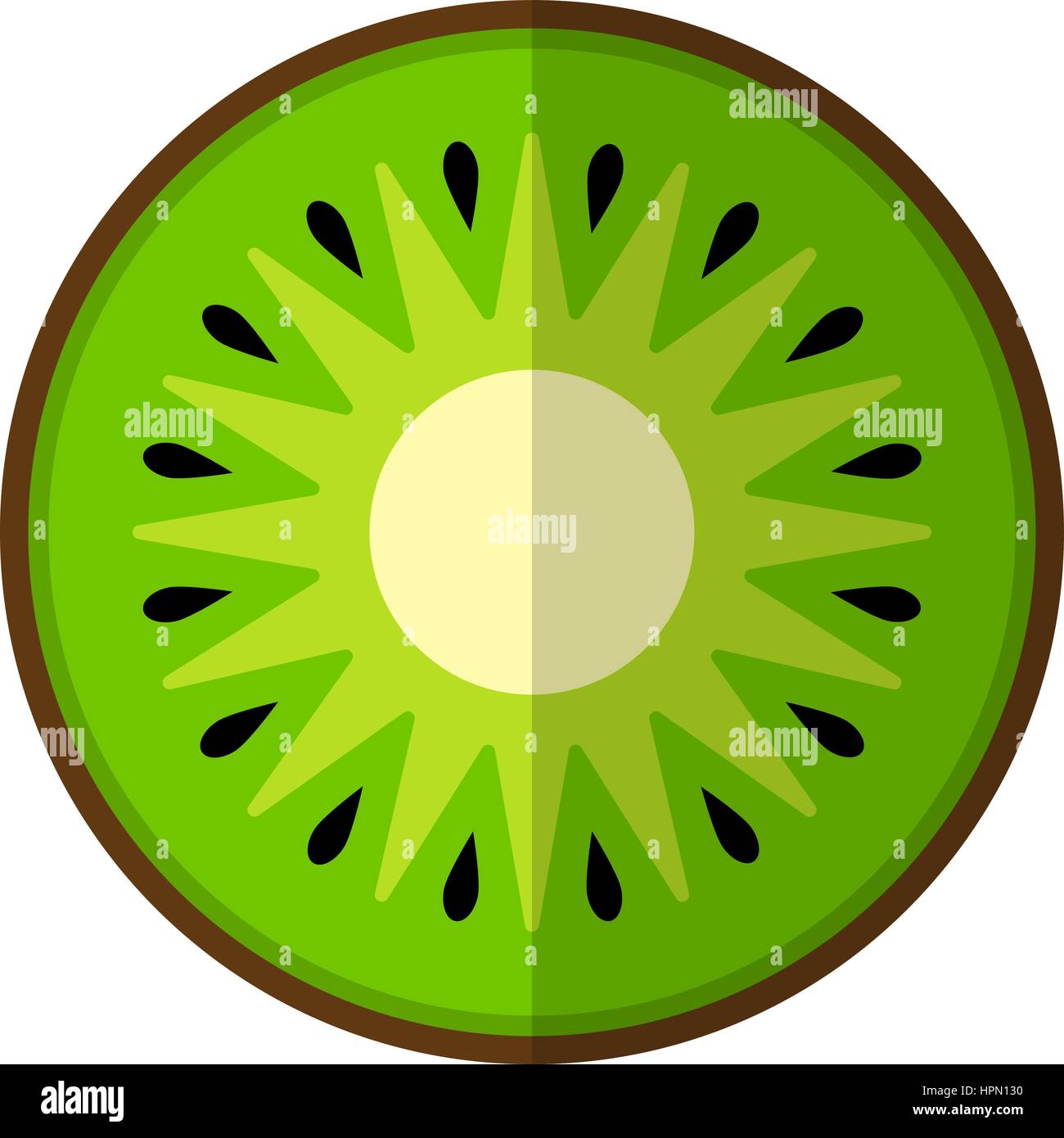 Green round piece of kiwi on white background Stock Vector
