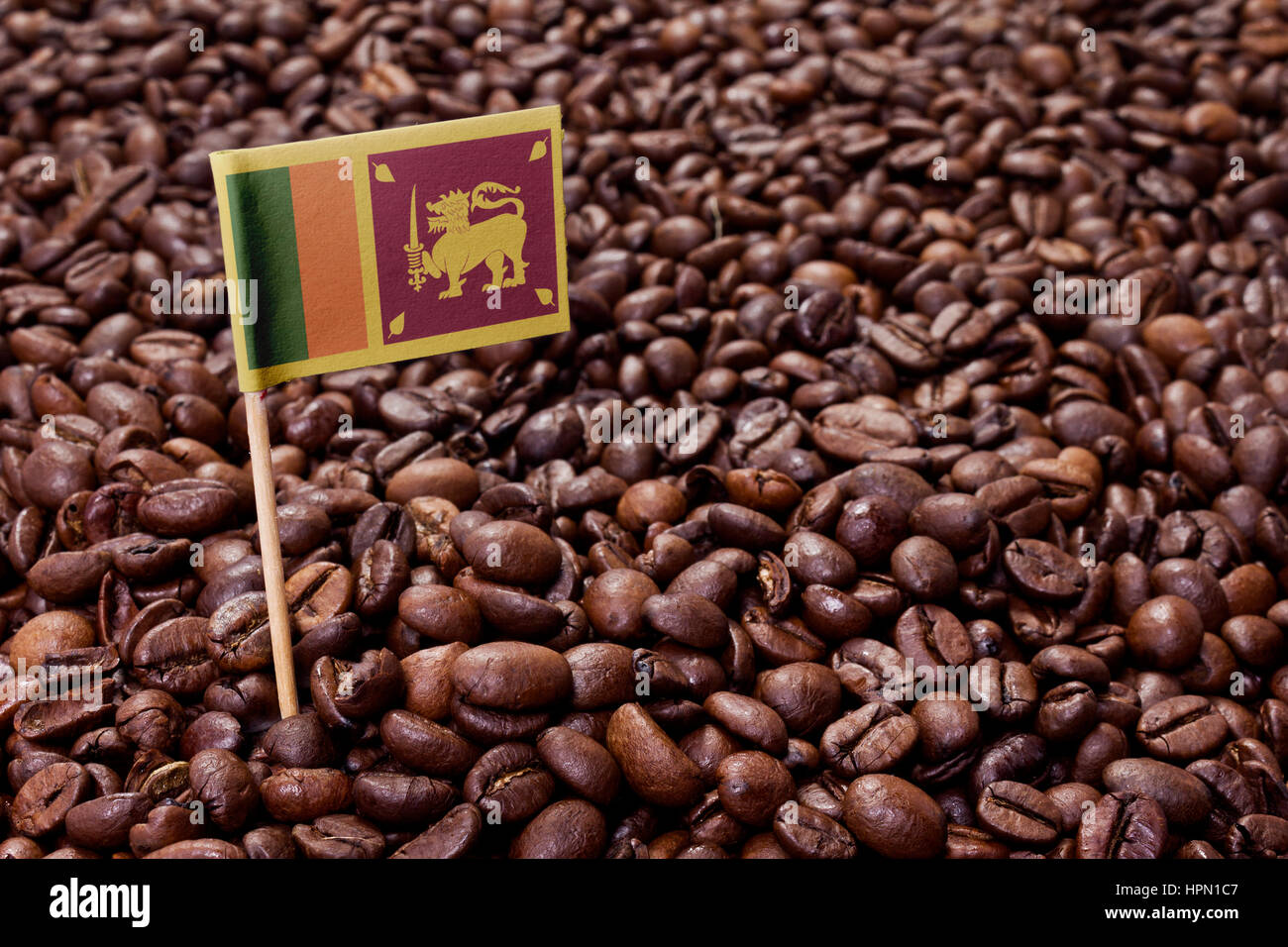 Flag of Sri Lanka sticking in roasted coffee beans.(series Stock Photo