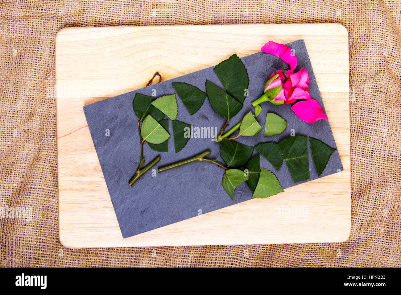 Single rose cut up on piece of slate Stock Photo - Alamy