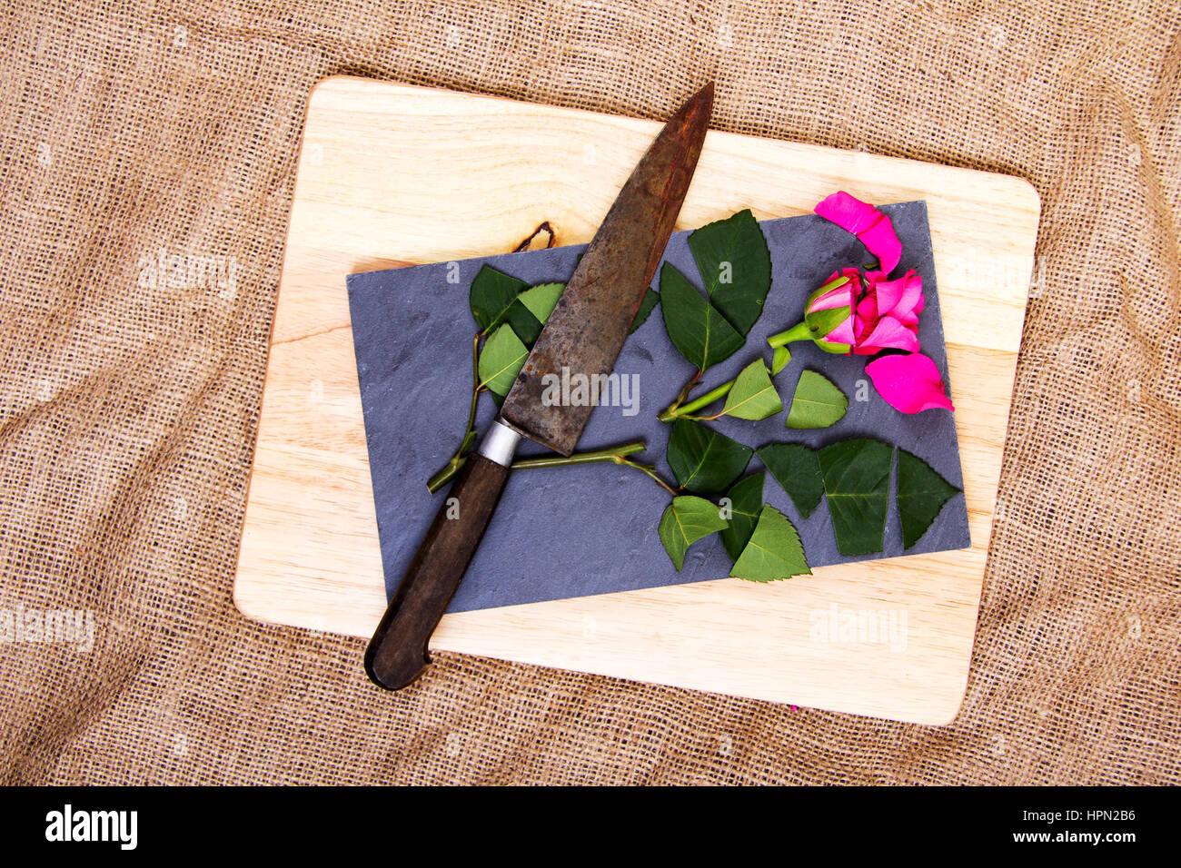 Single rose cut up on piece of slate Stock Photo - Alamy