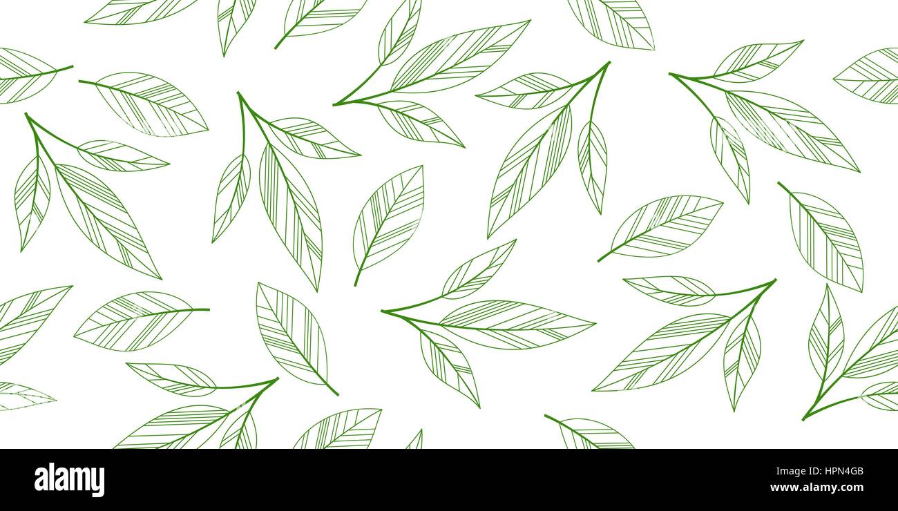 seamless leaves isolated Stock Vector Image & Art - Alamy