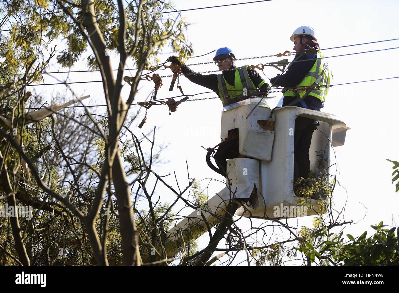 ESB workers attend to power lines damaged by a fallen tree as allmost 46,000 Irish households woke up to no electricity after violent gusts battered large swathes of the country through the night. Stock Photo