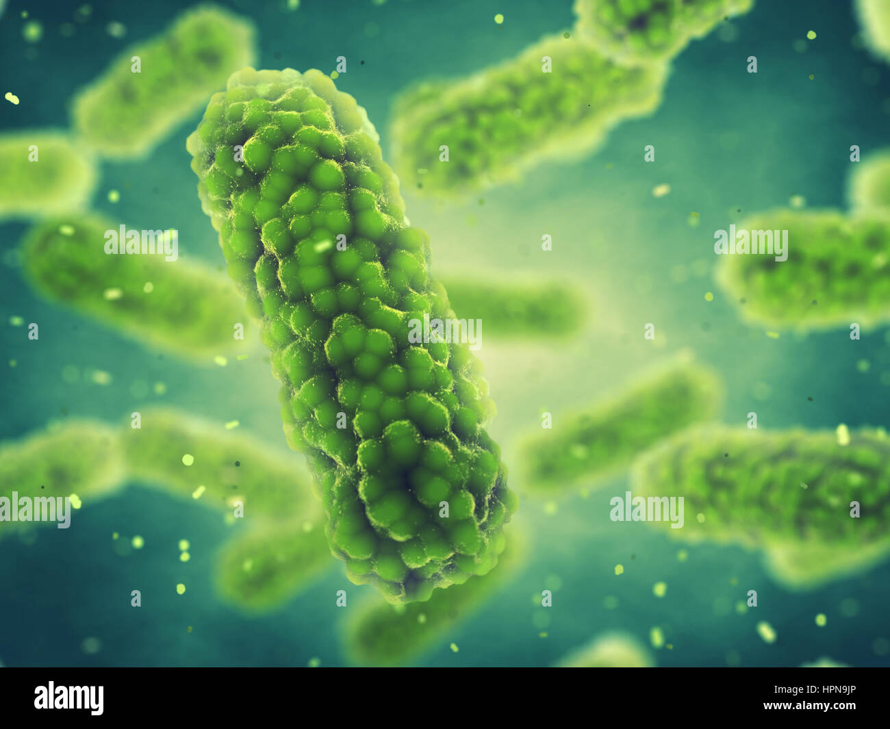 Bacteria , Germ infection , Epidemic disease Stock Photo