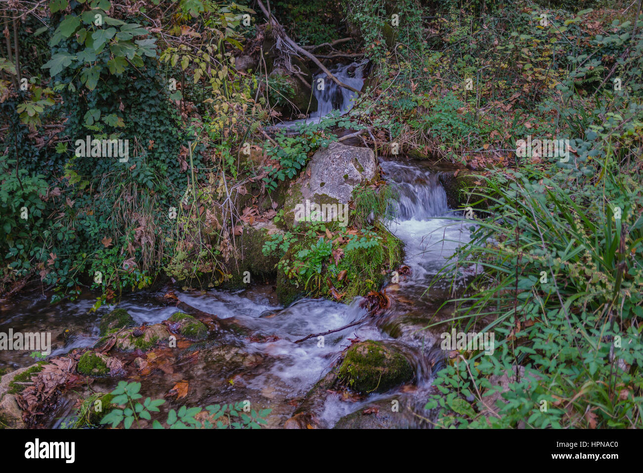flowing water, stream in the forest, akarsu  dere, landscape stream views, gushing water, stream flowing int he forest, orman dere akarsu Stock Photo