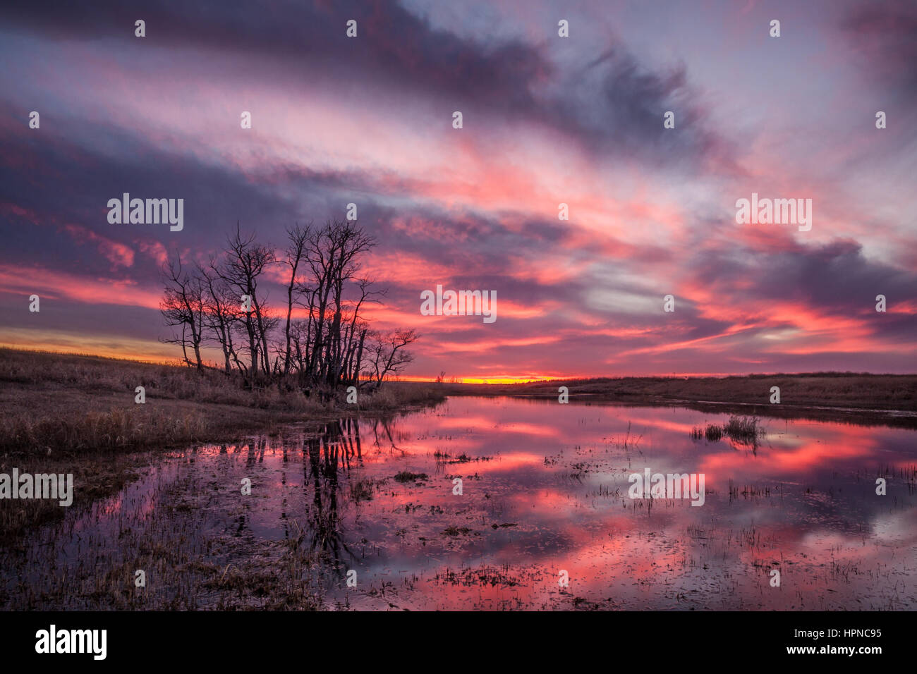 Beautiful skies at sunset in Saskatchewan near Swift Current Stock Photo