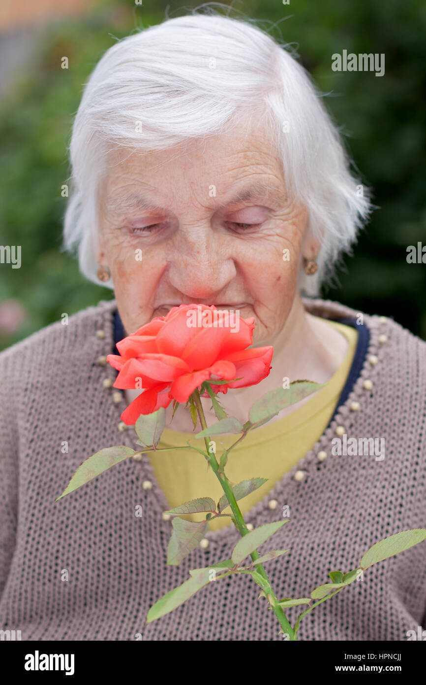 Elderly woman holding a red flover in her hands Stock Photo