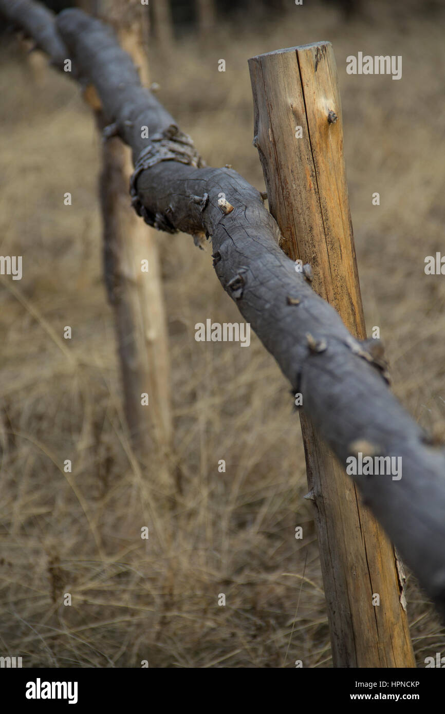Branch fence hi-res stock photography and images - Alamy