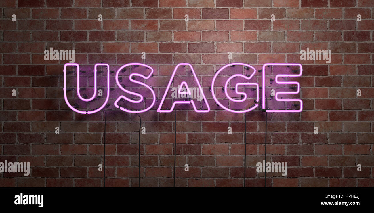 USAGE - fluorescent Neon tube Sign on brickwork - Front view - 3D ...