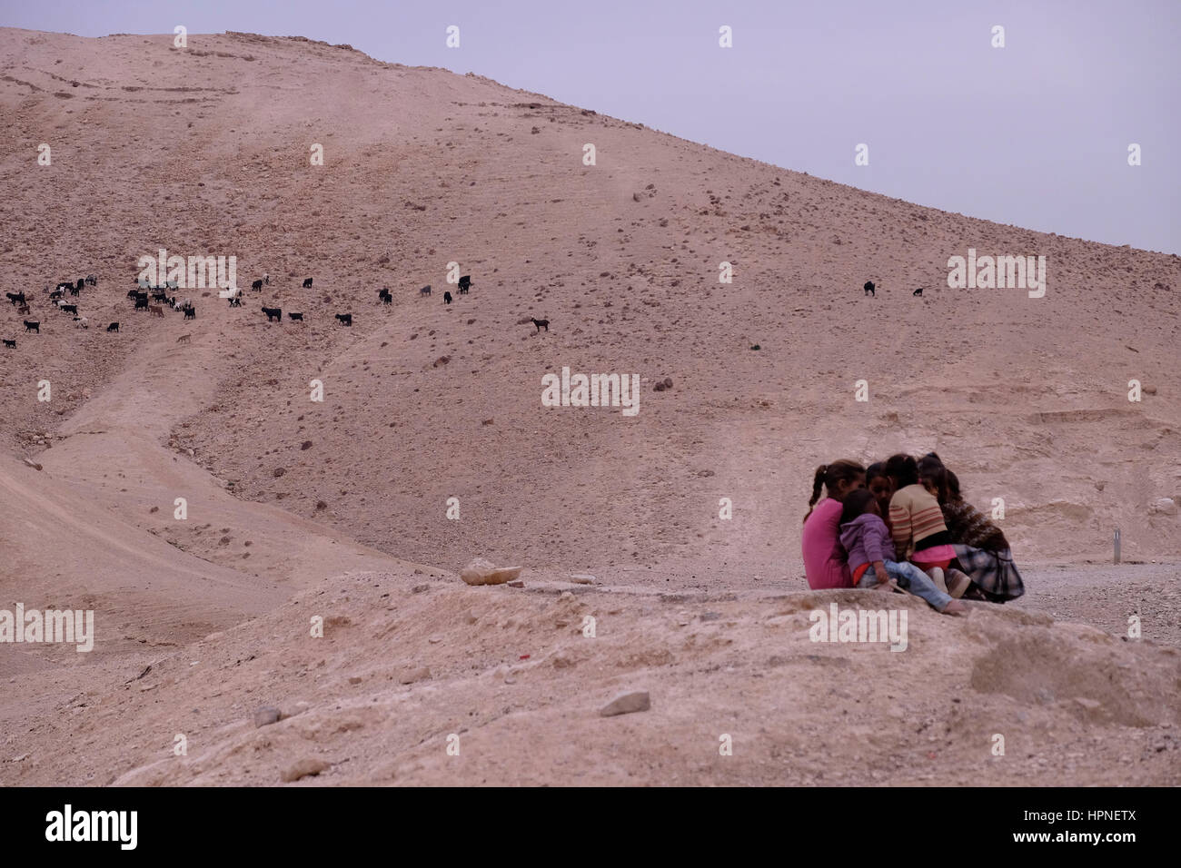 Group of young Bedouin girls of the Jahalin tribe community in the