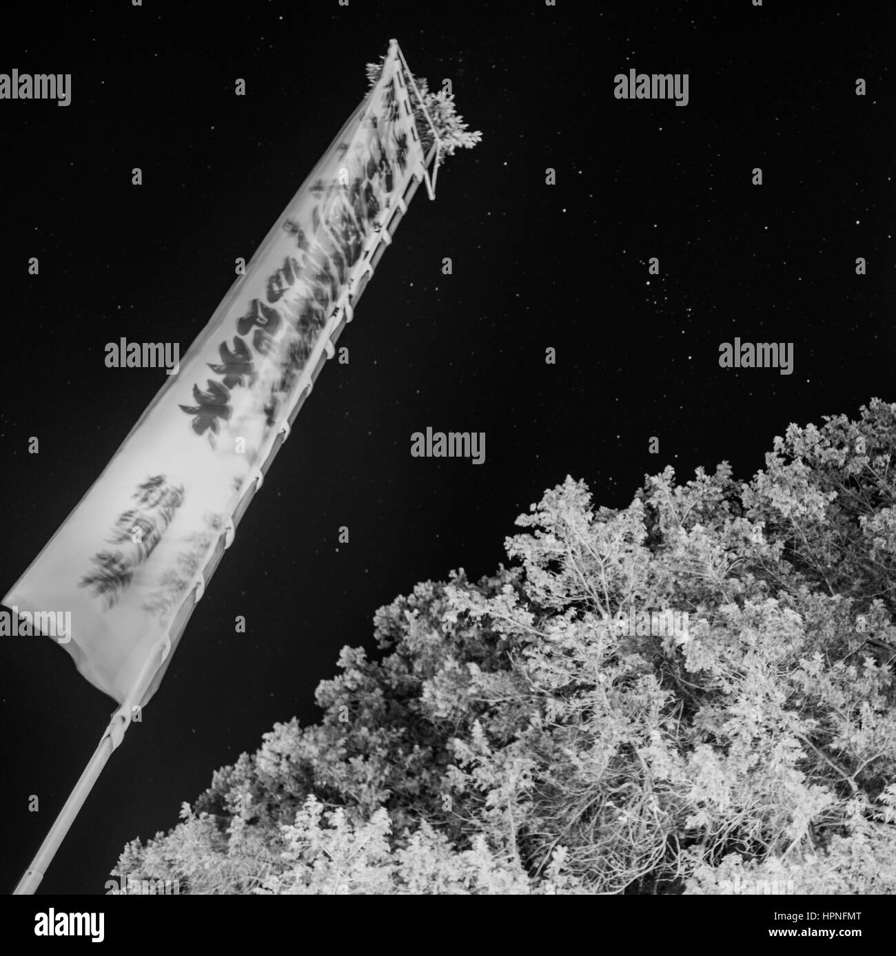 Japanese flags on display at New years Stock Photo Alamy