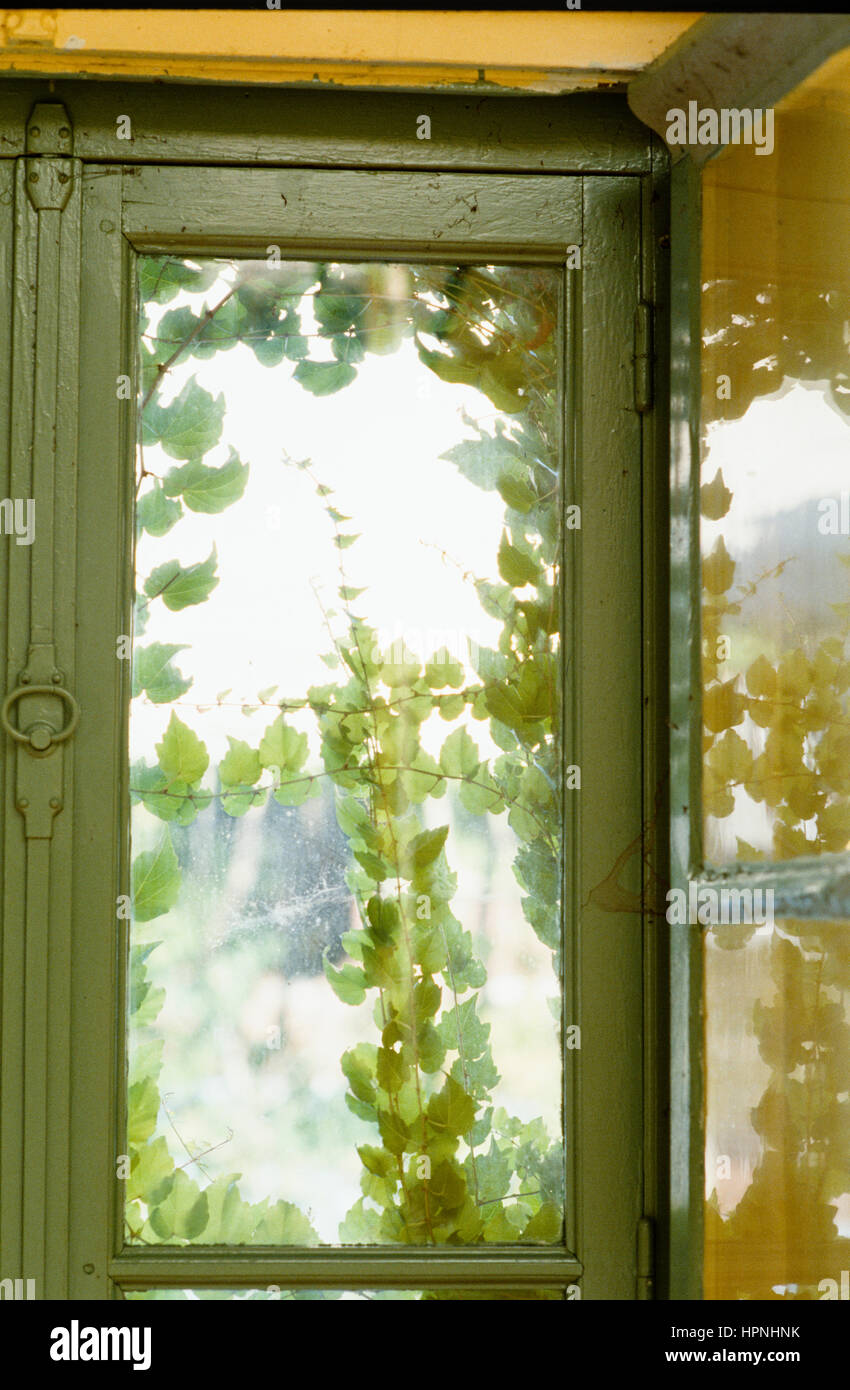 A green window. Stock Photo