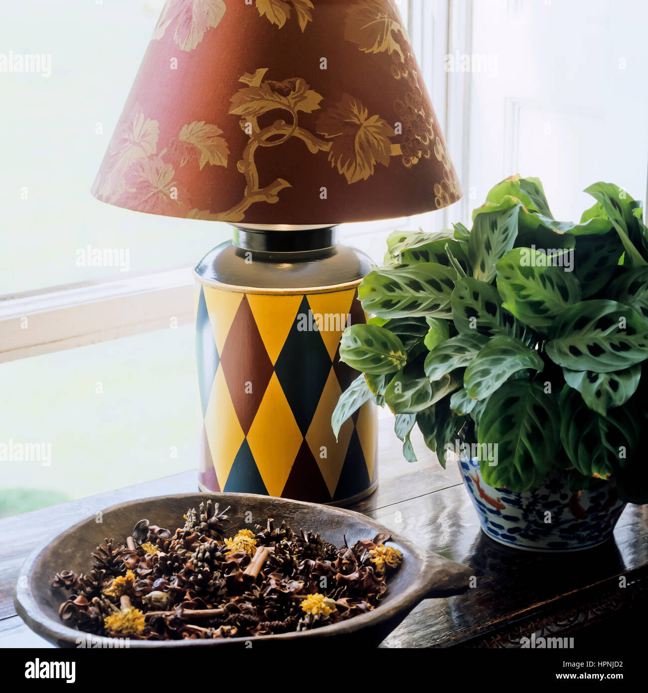 'A lamp, plant and potpourri.' Stock Photo