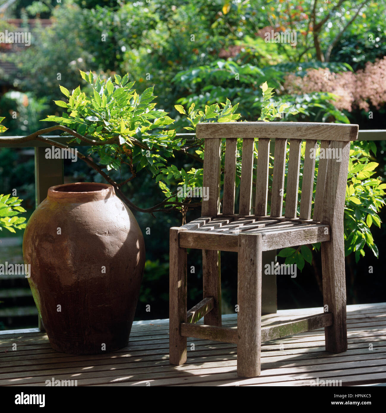 Unusual plant pots hi-res stock photography and images - Alamy
