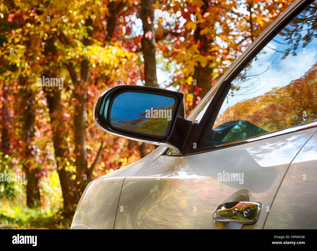 Red autumn fall leaves refelected in side of modern car and mirror to  illustrate drive to leaf peep to see the season Stock Photo - Alamy