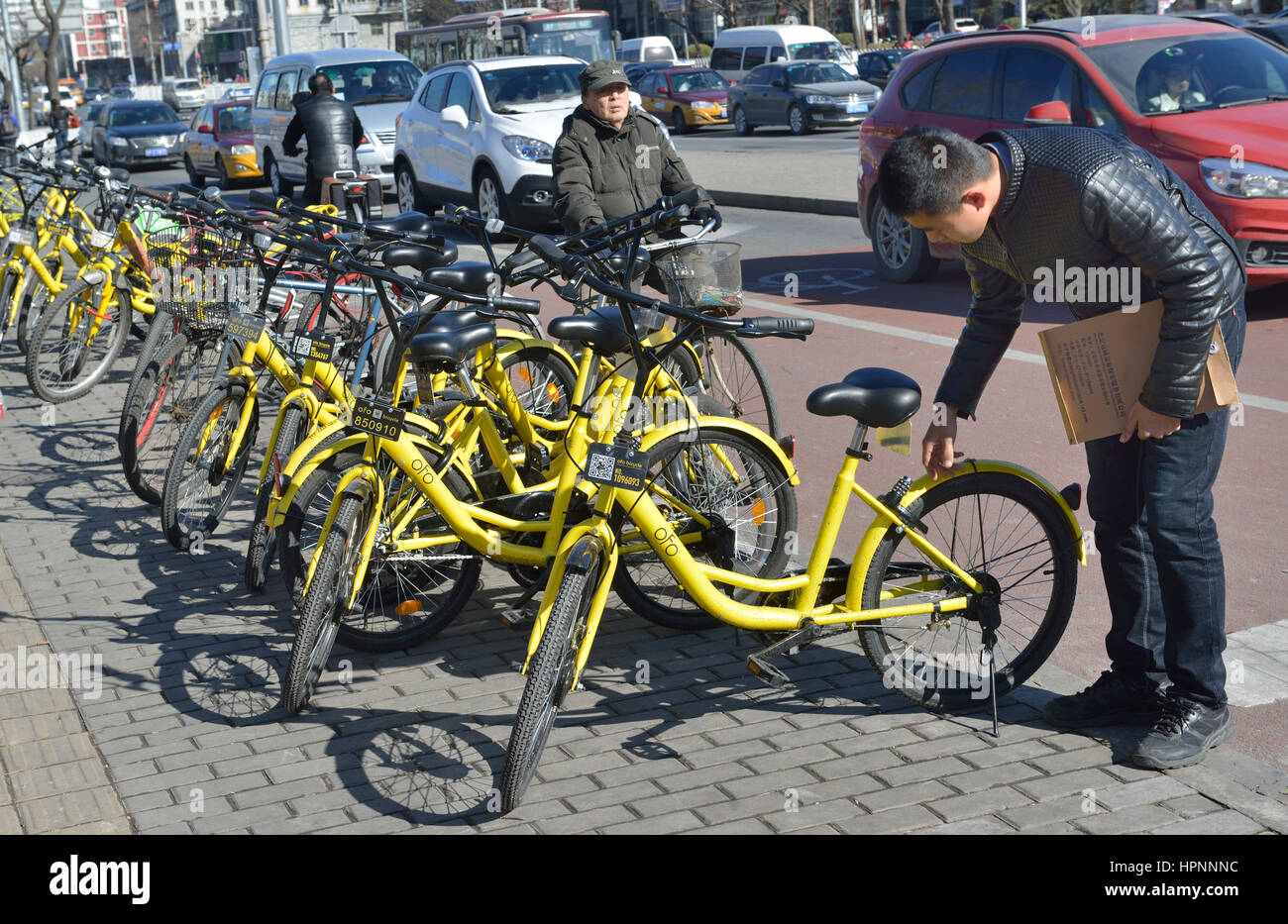 velo ofo