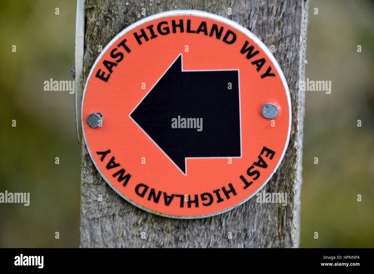 Wooden post marker footpath hi-res stock photography and images - Alamy