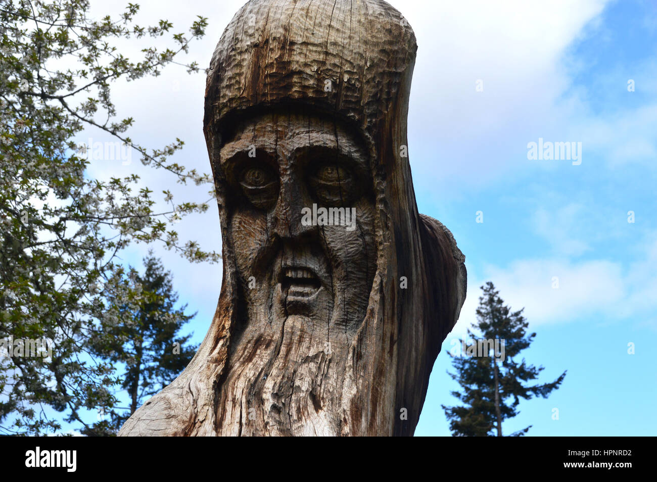 Wooden Tree Sculpture called The Onlooker part of the Frank Bruce Sculpture Trail, Inshriach Forest, Feshiebridge,Cairngorms National Park, Scotland. Stock Photo
