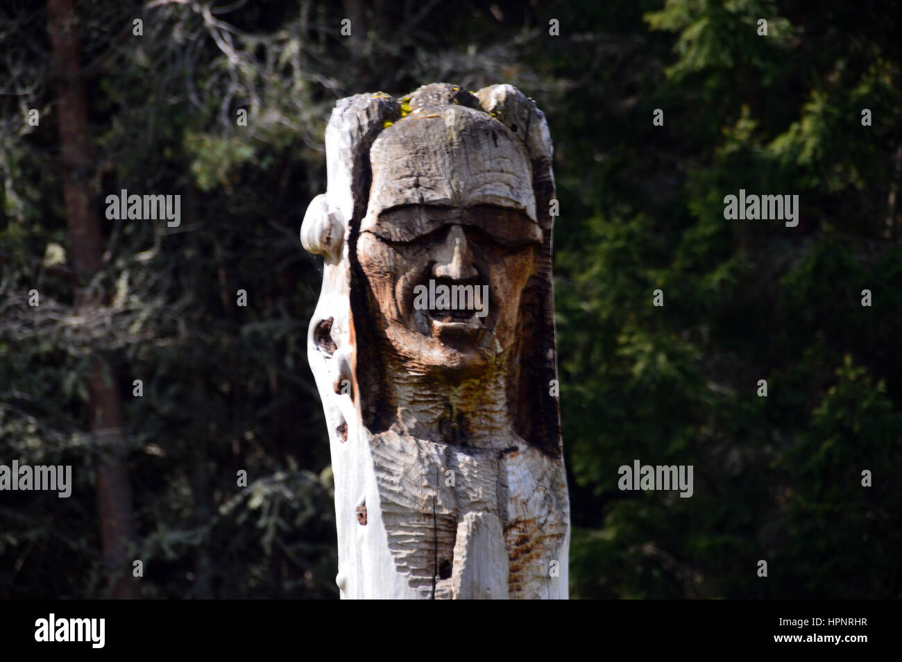 Wooden Tree Sculpture called Third World part of the Frank Bruce Sculpture Trail, Inshriach Forest, Feshiebridge,Cairngorms National Park, Scotland. Stock Photo