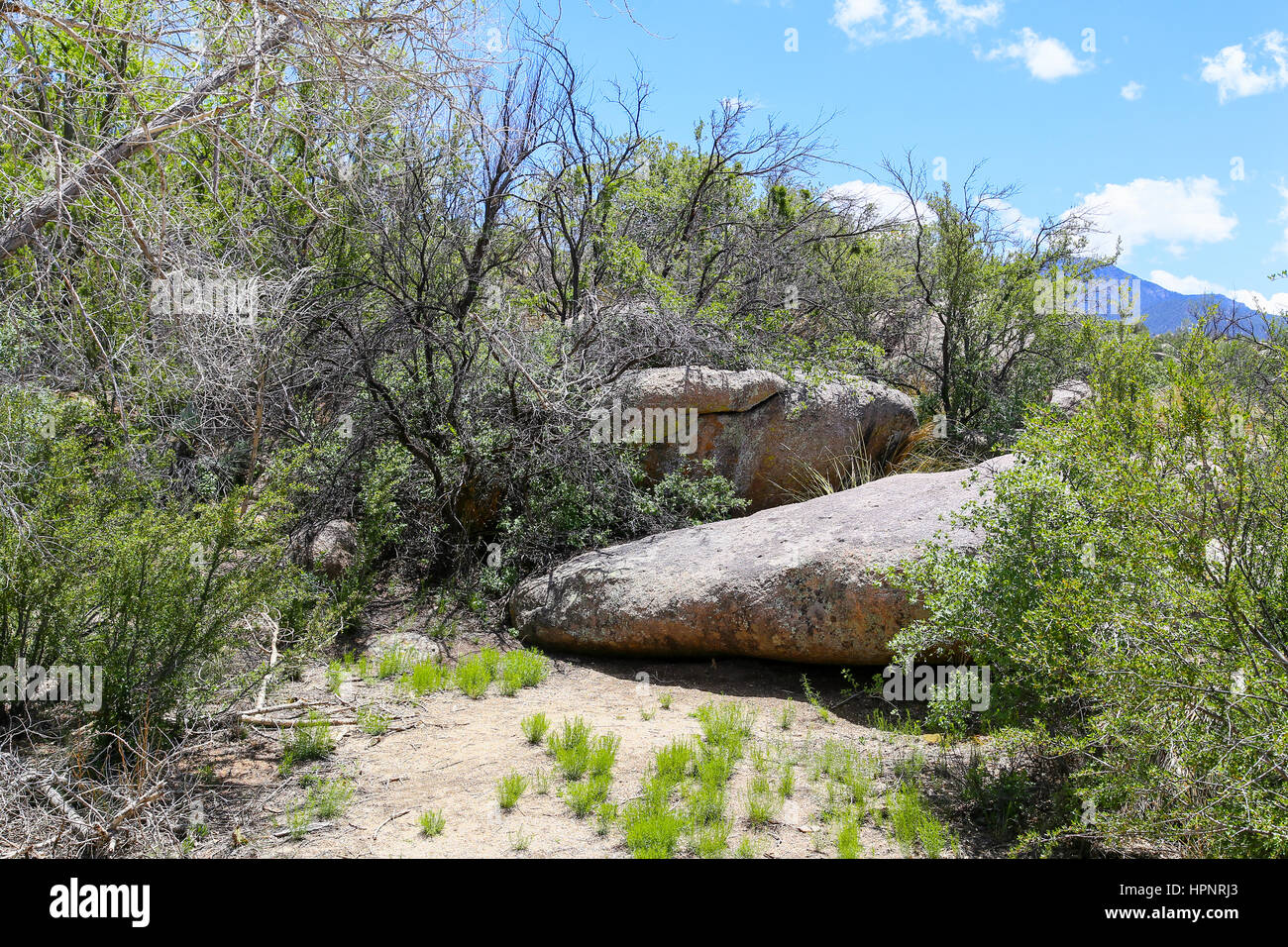 Rocks and scrubs in the base of the Sandia Mountains near Albuquerque, USA. Stock Photo