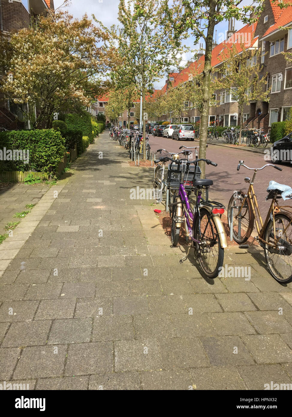 Many bikes parked on a residential street in the Netherlands Stock Photo