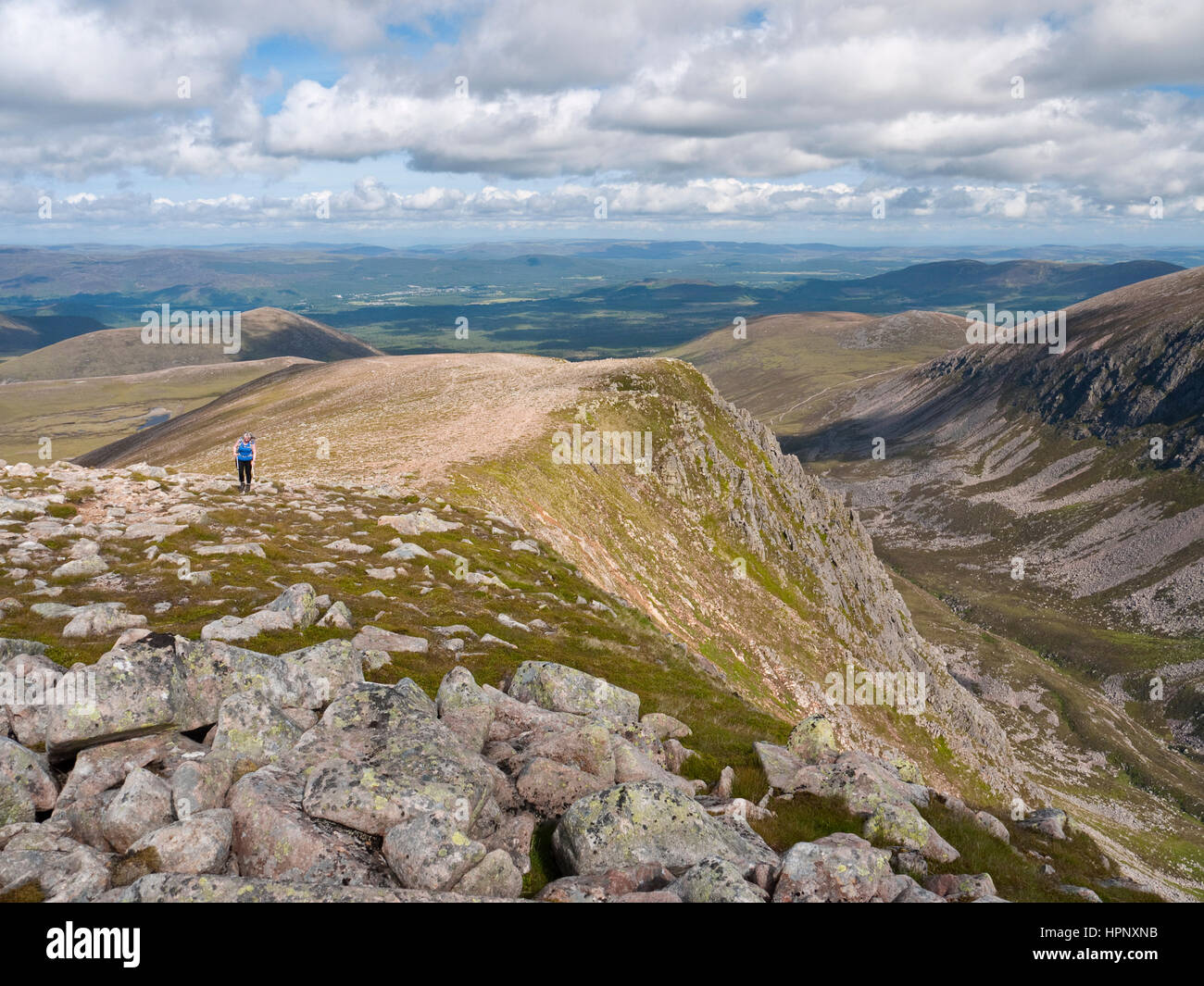 A female hill walker climbs Sron na Lairige on the way to Braeriach, with views over the Lairig Ghru pass and Rothiemurchus forest, Cairngorms. Stock Photo
