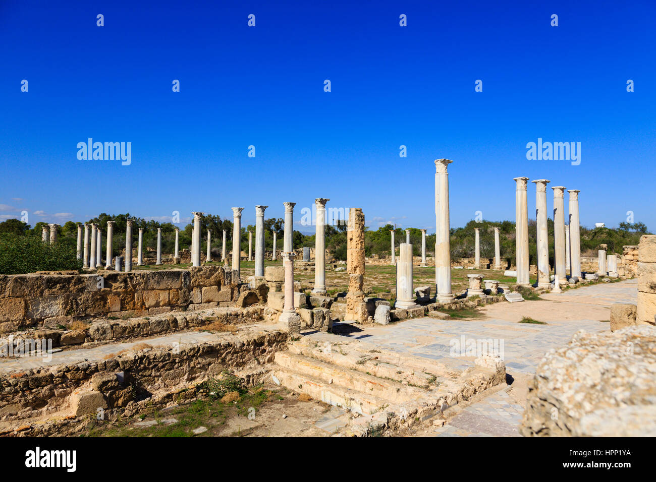 Salamis Roman ruins, Gazimagusta, Famagusta, Ammochostos, Northern Cyprus Stock Photo Alamy