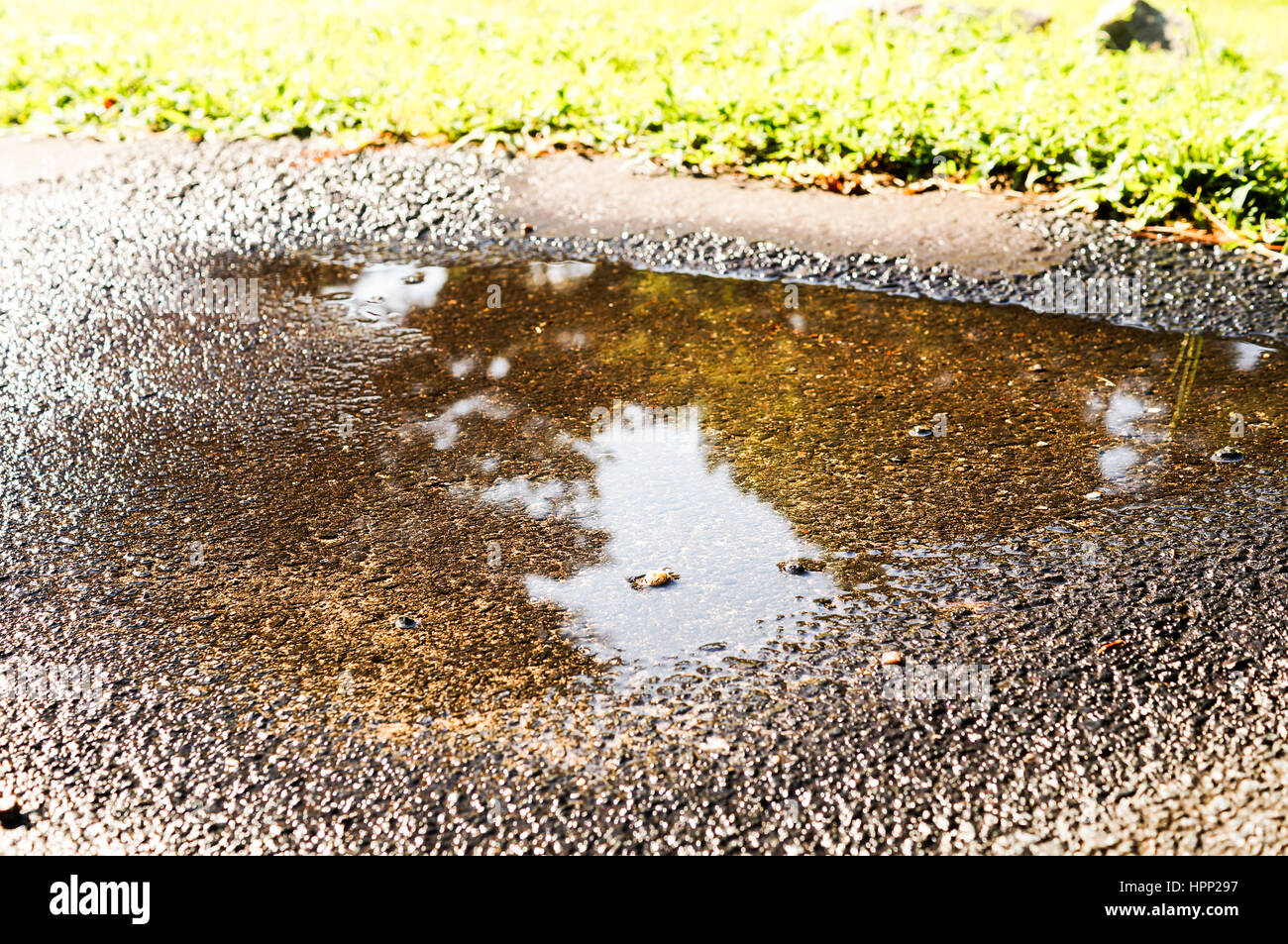 Concrete walkway that is wet with rain water Stock Photo