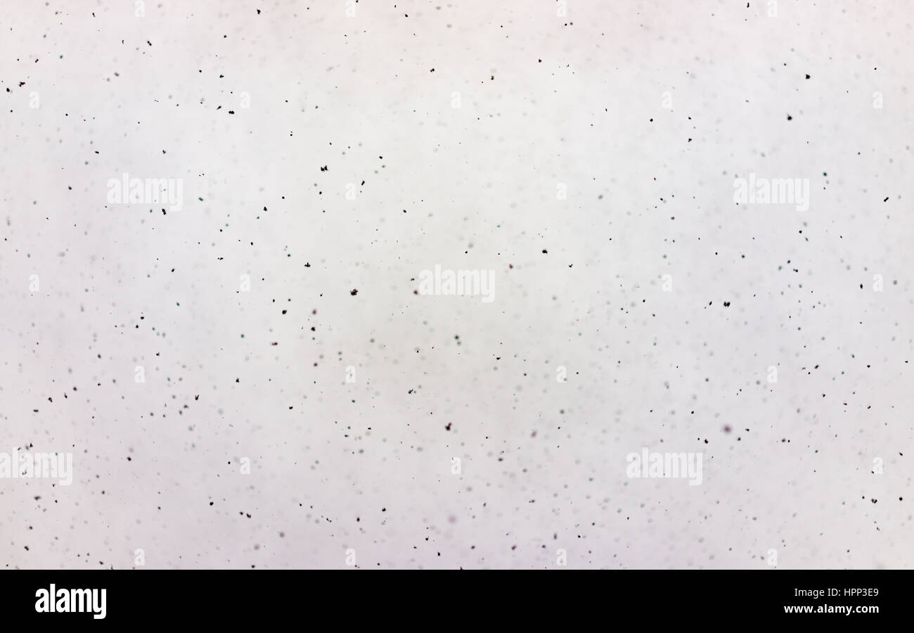 Abstract white background with black speckles of snow Stock Photo