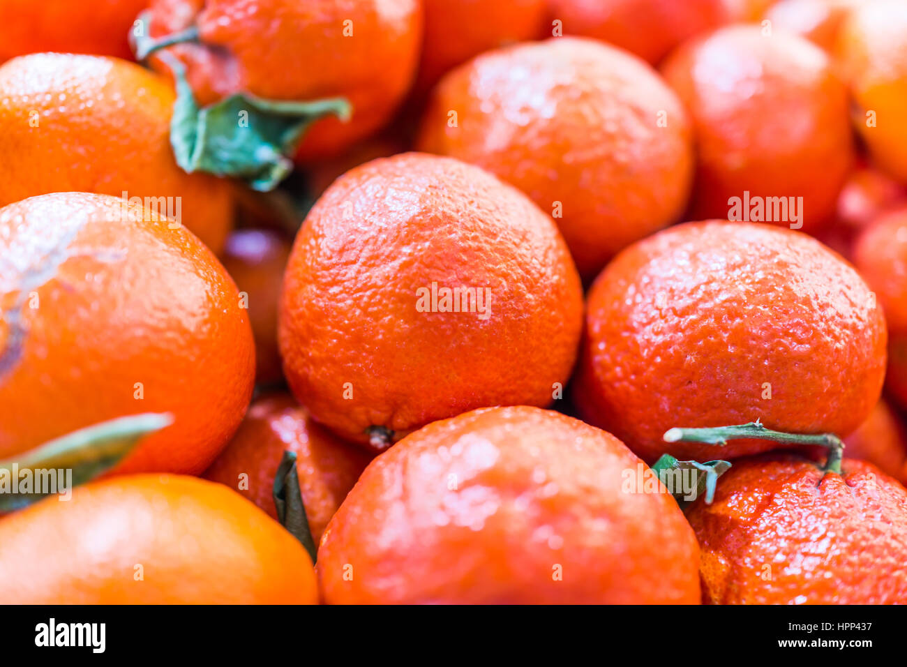 Green satsuma hires stock photography and images Alamy
