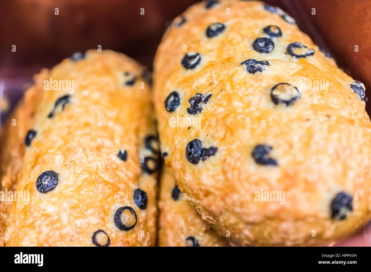 Closeup of olive bread loaves in bakery Stock Photo Alamy