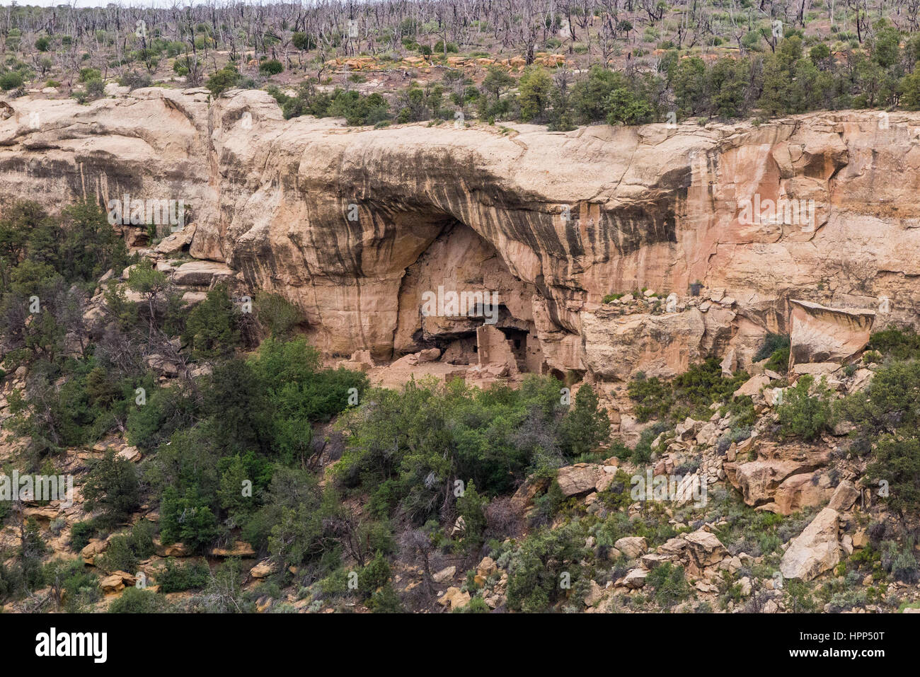 Ancient cliff dwellings at the Mesa Verde National Park in Colorado ...