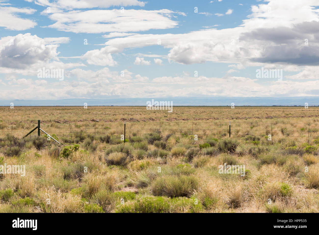 Grass farm field, flat plains, with a partly cloudy sky Stock Photo