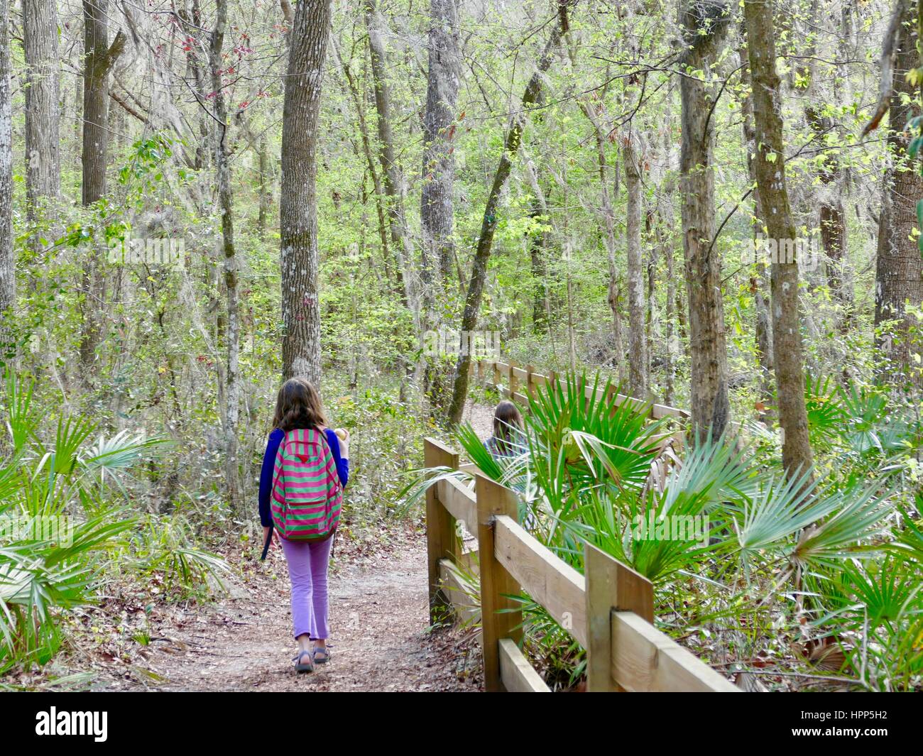 Devil’s millhopper gainesville hires stock photography and images Alamy
