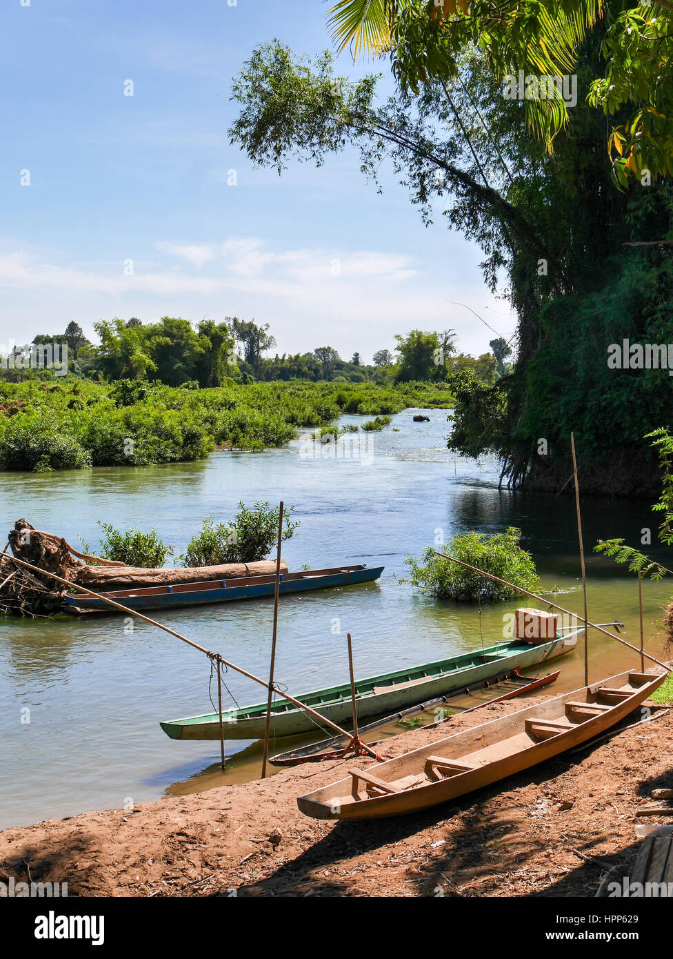 Boat on the side of a river surrounded by plants trees and vegetation ...