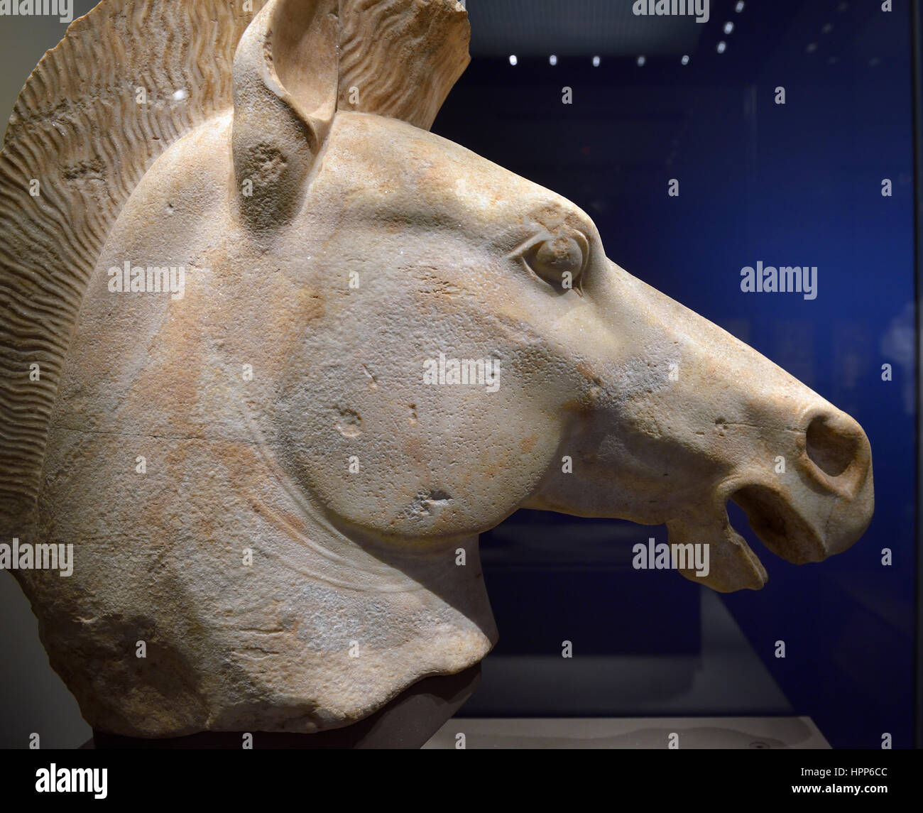 Fragment of horse statue in Louvre. From Attique  of Athens region, Greece.510BC-500BC. Marble. Stock Photo