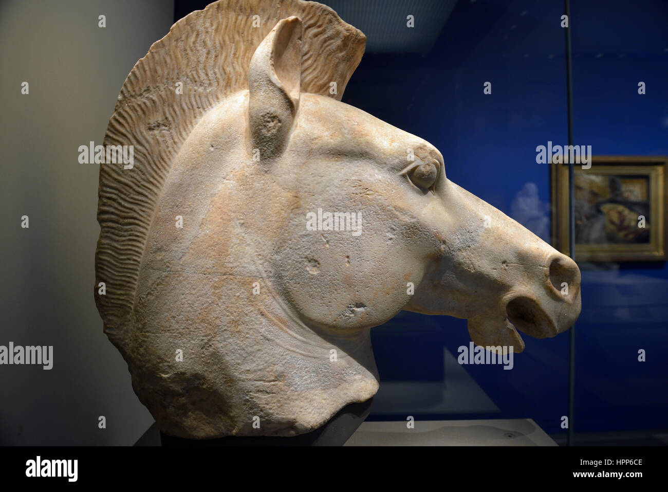 Fragment of horse statue in Louvre. From Attique  of Athens region, Greece.510BC-500BC. Marble. Stock Photo