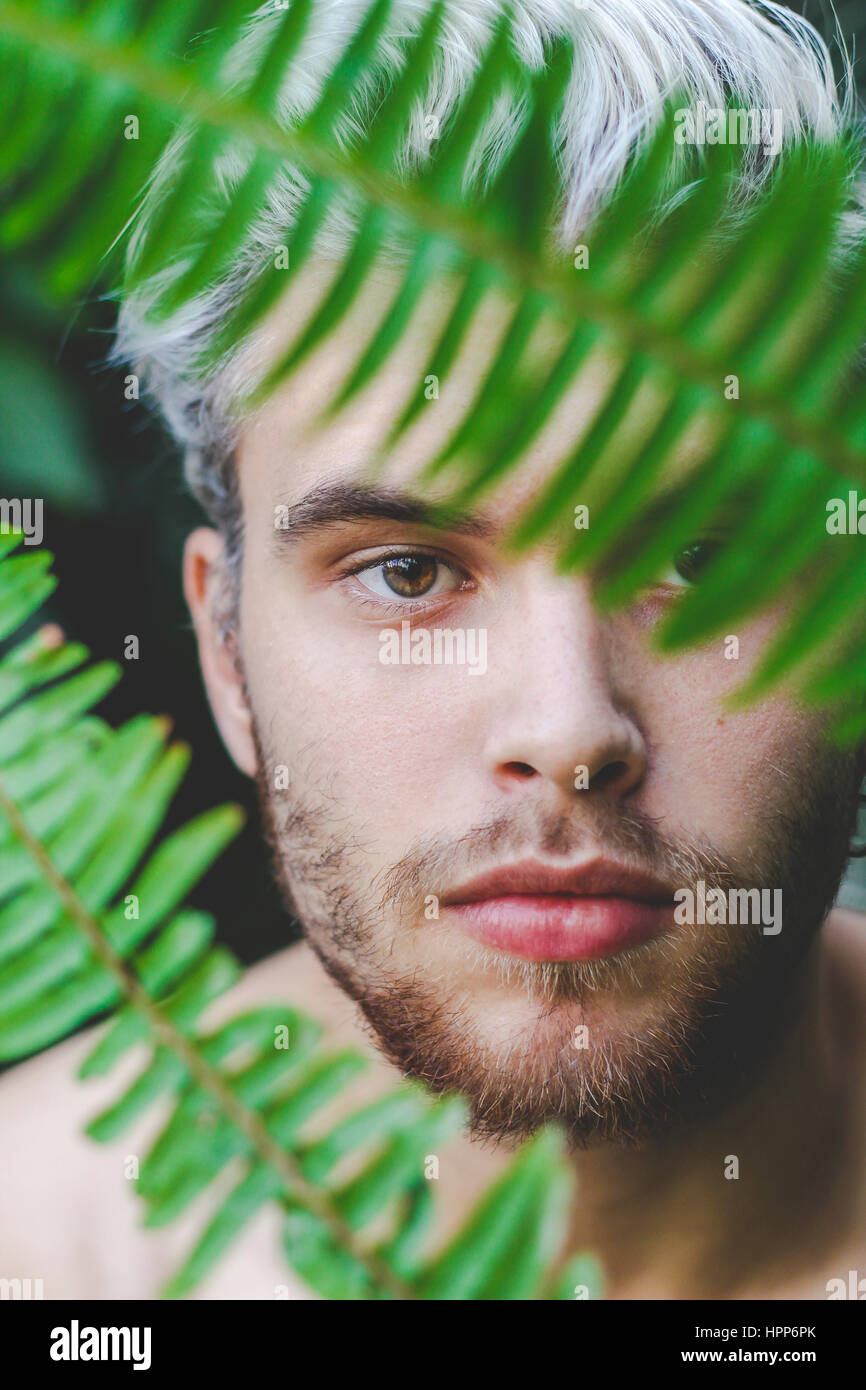 Portrait of young man behind fern leaves Stock Photo