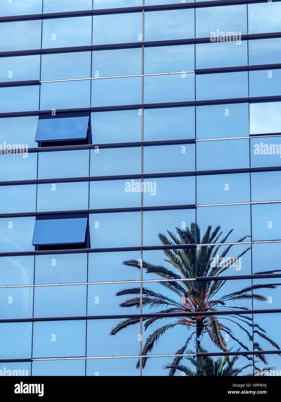 Spain, Barcelona, palm tree reflecting on glass front of modern office building Stock Photo