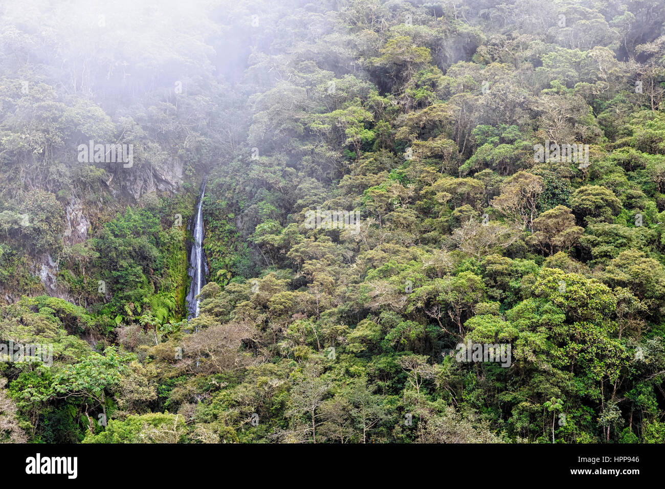 Peru, Amazon basin, cloud forest with waterfall Stock Photo Alamy