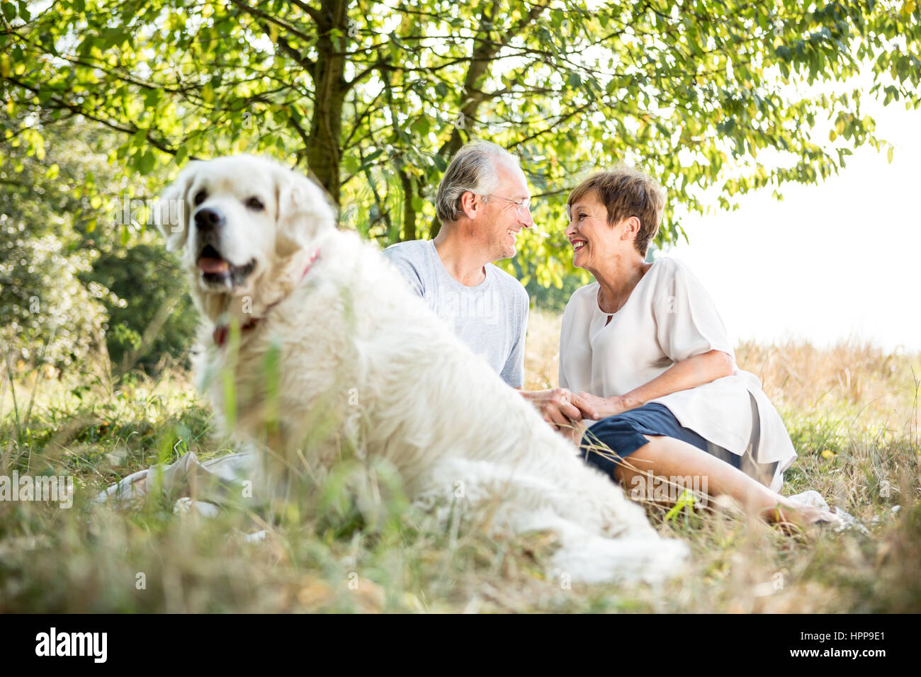 Happy senior couple with dog in meadow Stock Photo - Alamy