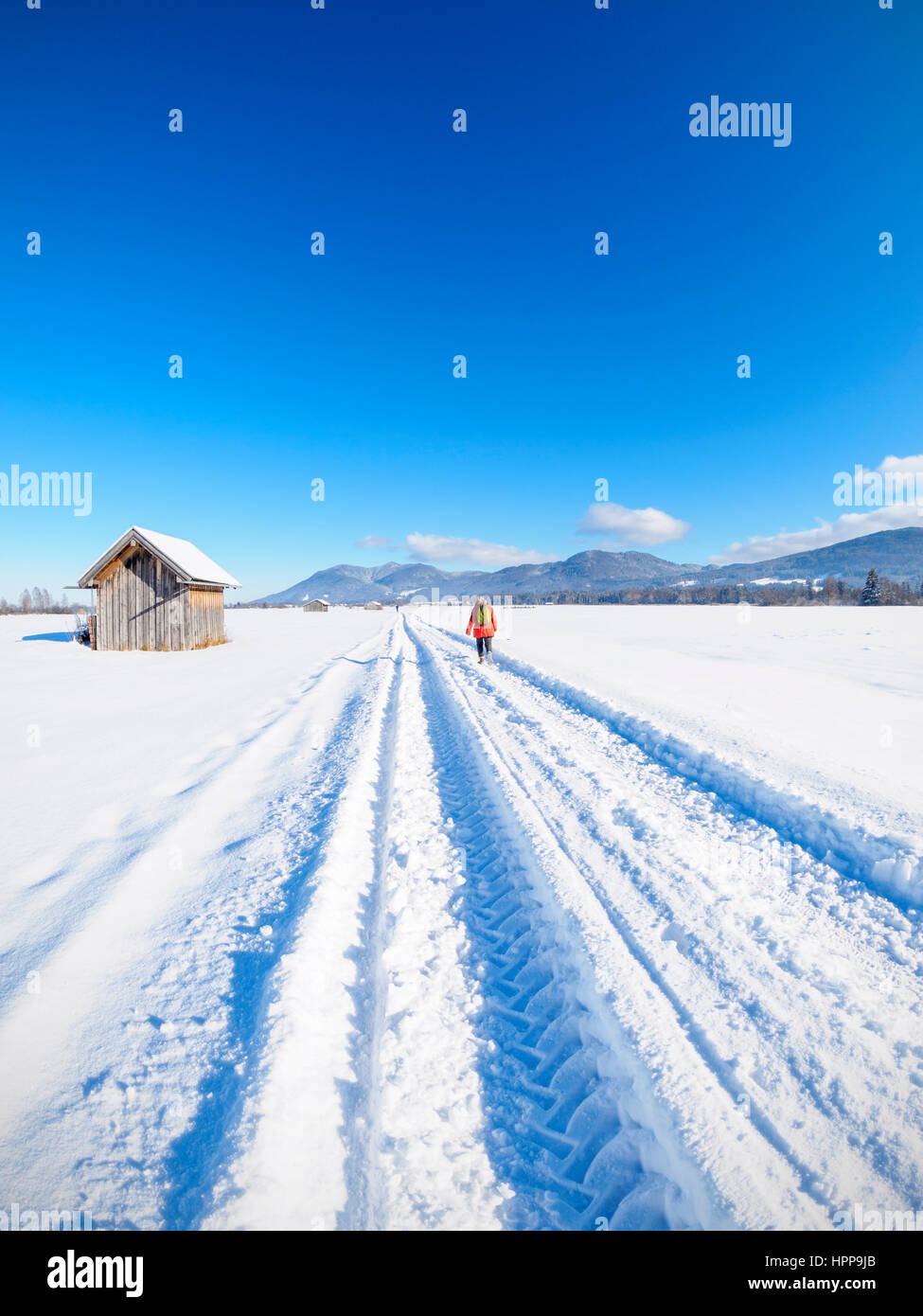 Germany, Bavaria, woman hiking on trail from Kochel am See to Benediktbeuern Abbey in winter Stock Photo