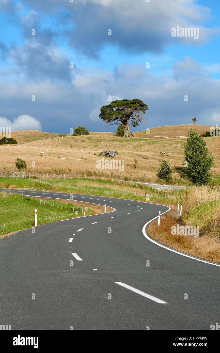 New Zealand country road winding itself through beautiful farmland Stock Photo