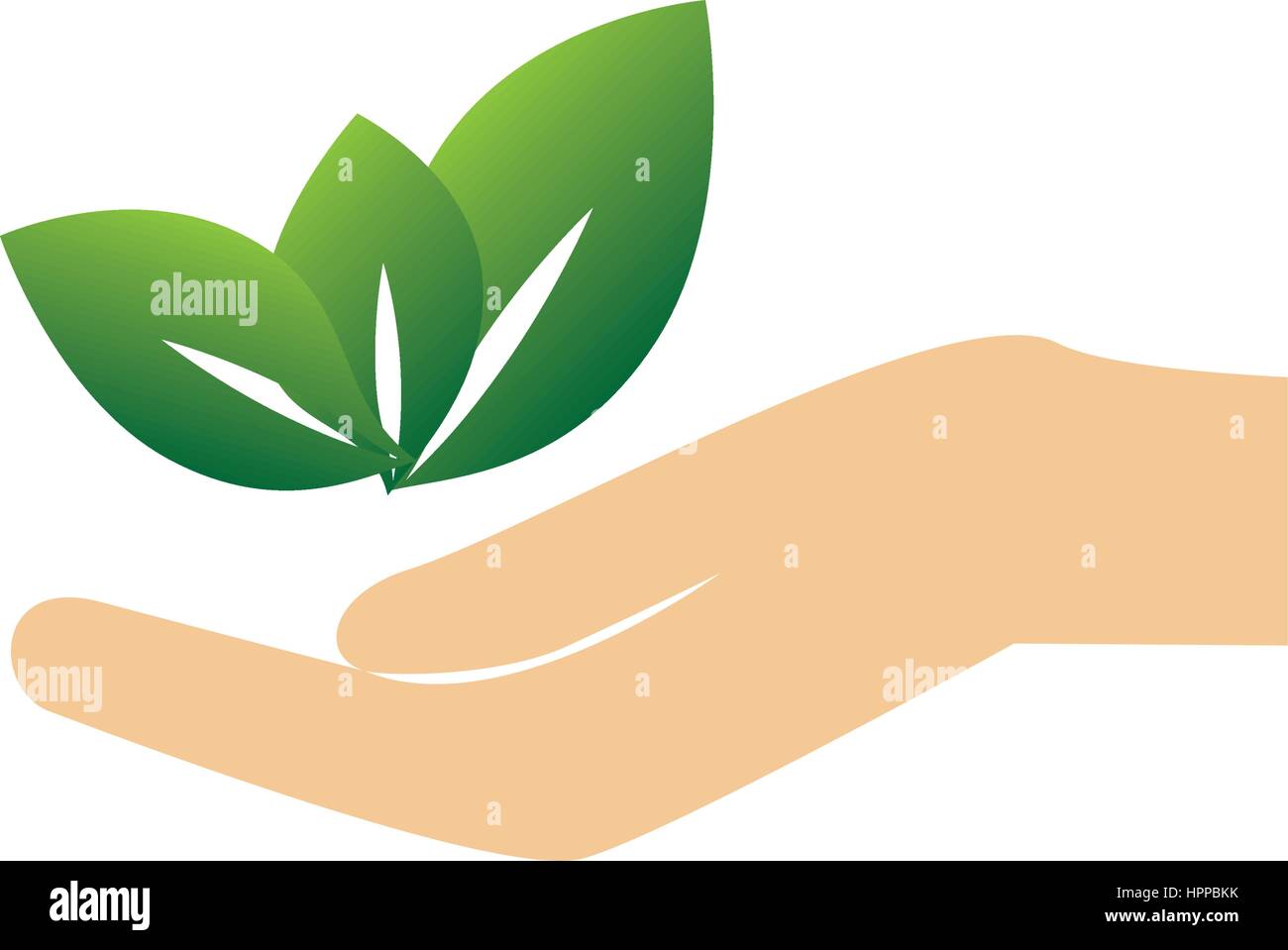 leafs plant ecology icon Stock Vector Image & Art - Alamy