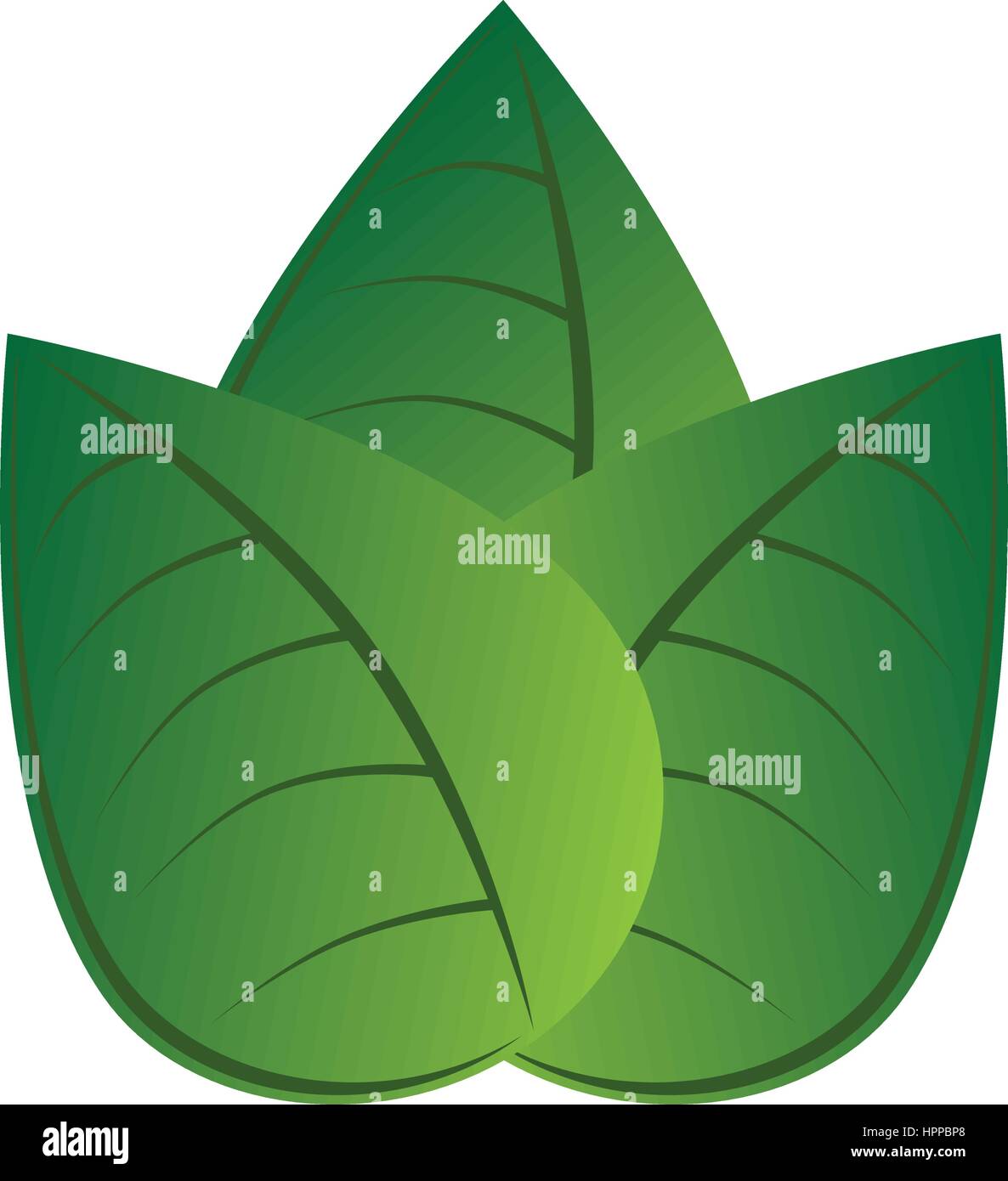 leafs plant ecology icon Stock Vector Image & Art - Alamy