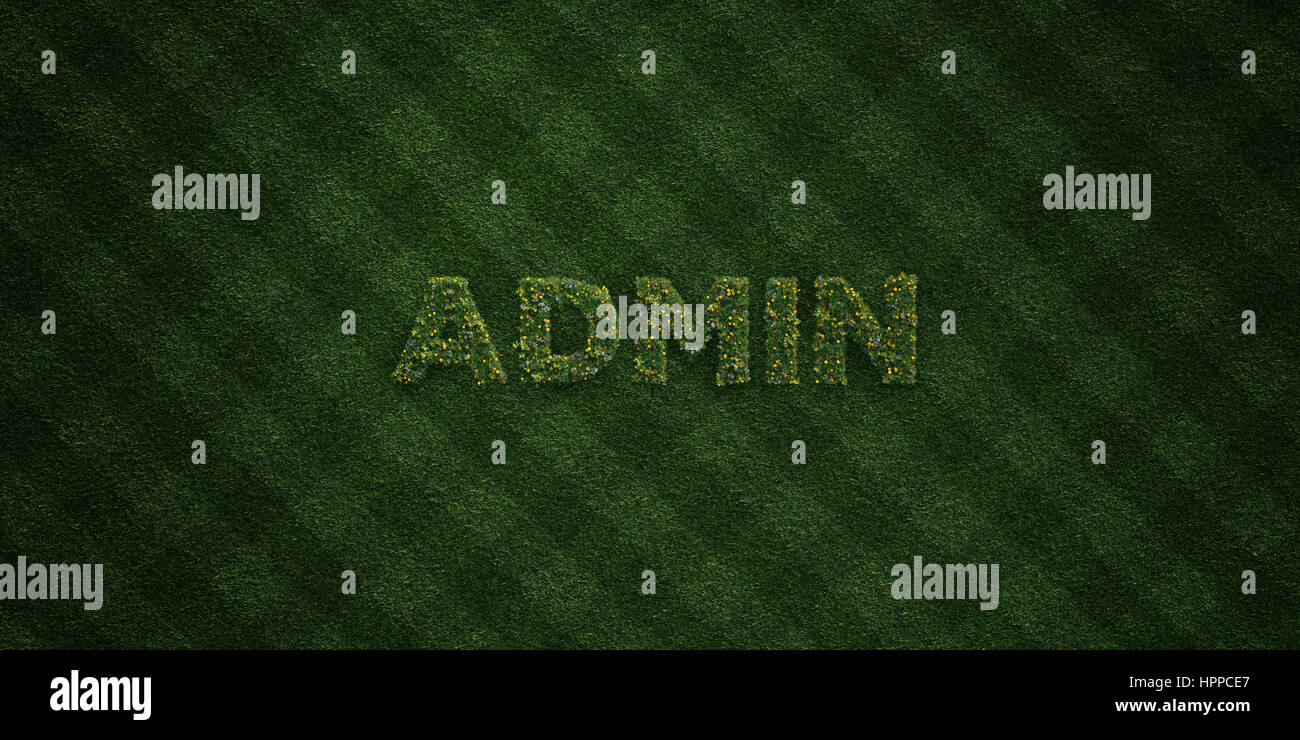 ADMIN - fresh Grass letters with flowers and dandelions - 3D rendered royalty free stock image. Can be used for online banner ads and direct mailers. Stock Photo