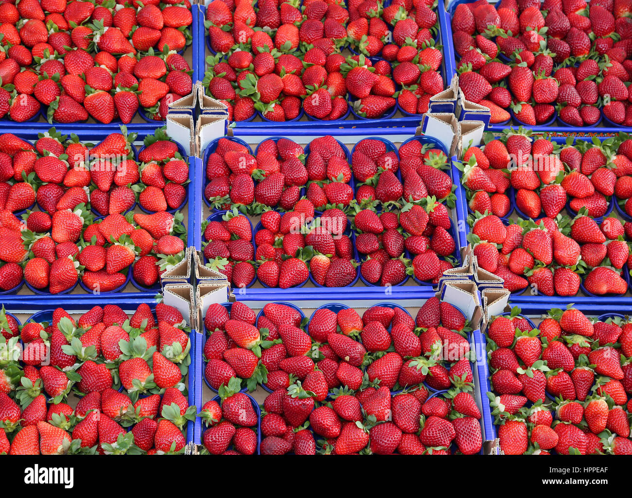 grocery shop with so many boxes with red strawberries Stock Photo - Alamy