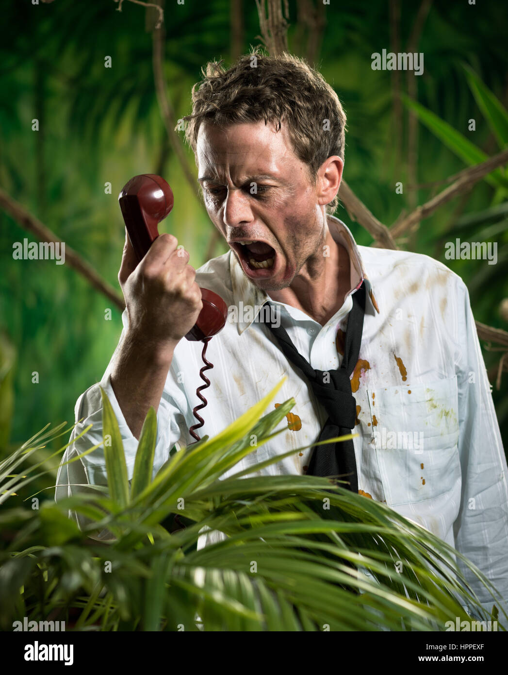 Angry businessman lost in jungle screaming at the phone Stock Photo - Alamy